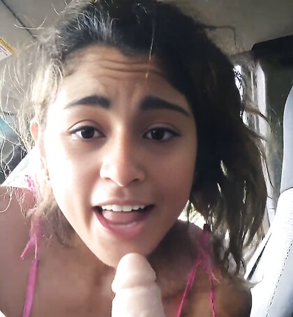 BBC Cuties 14