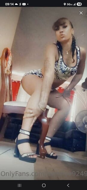 DomiLove