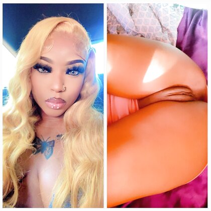 Face vs the pussy