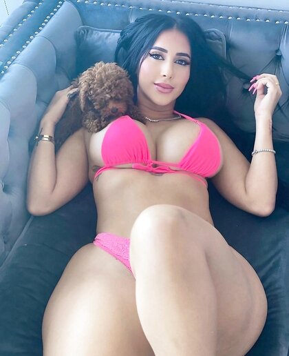 ???????????????????????????? ????????????